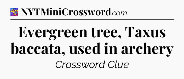 Evergreen tree, Taxus baccata, used in archery Codycross