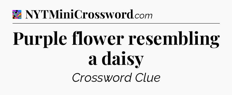 Purple flower resembling a daisy Crossword Clue