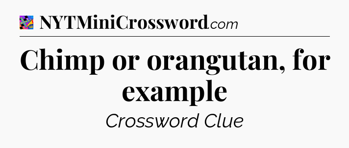 Chimp or orangutan, for example Crossword Clue