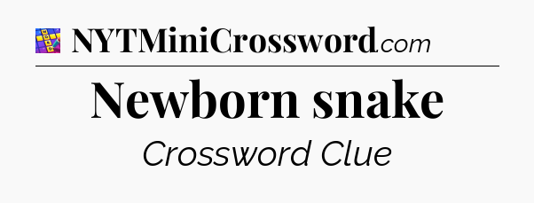 Newborn snake Codycross