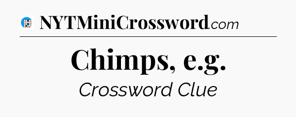 Chimps, e.g Crossword Clue