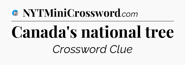 Canada's national tree Crossword Clue