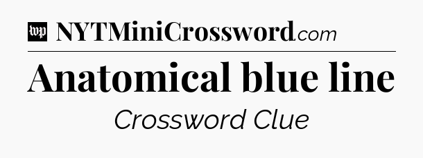 Anatomical blue line Crossword Clue