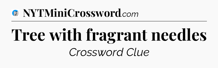 Tree with fragrant needles Crossword Clue