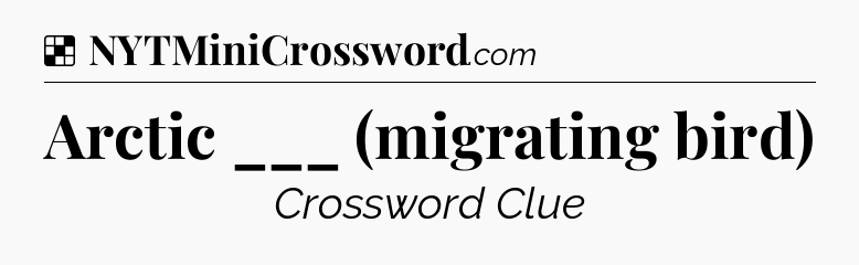 Solution: Arctic ___ (migrating bird) - NYT Crossword
