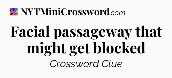 Facial passageway that might get blocked Crossword Clue