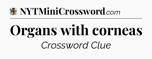 Organs with corneas Crossword Clue