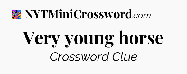 Very young horse Crossword Clue