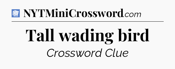 Tall wading bird Puzzle Page Crossword Clue