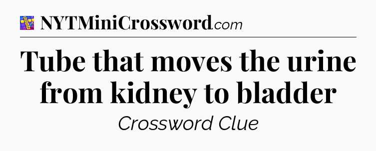 Tube that moves the urine from kidney to bladder Codycross