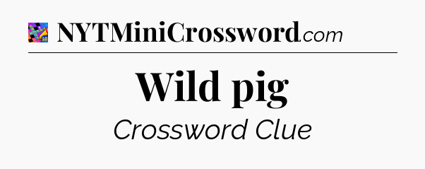 Wild pig Crossword Clue