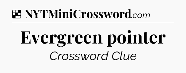 Solution: Evergreen pointer - NYT Crossword