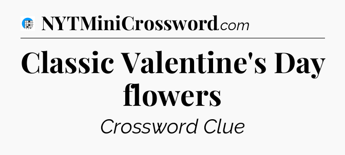 Classic Valentine's Day flowers Crossword Clue