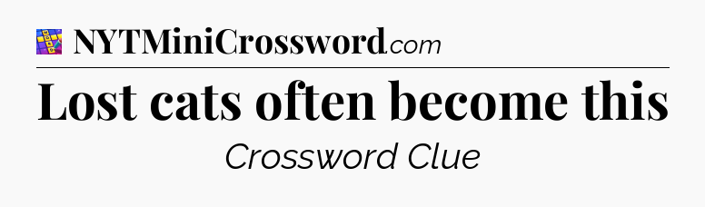 Lost cats often become this Codycross