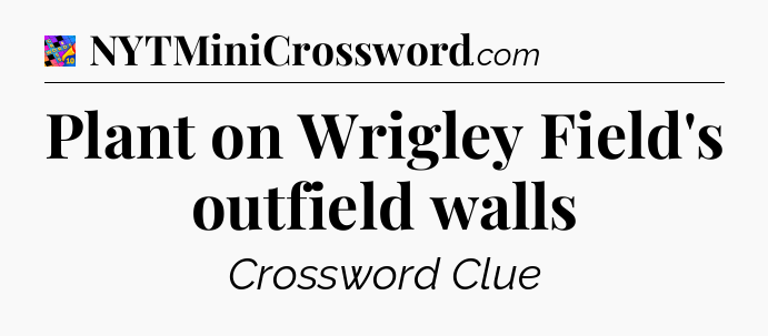Plant on Wrigley Field's outfield walls Crossword Clue