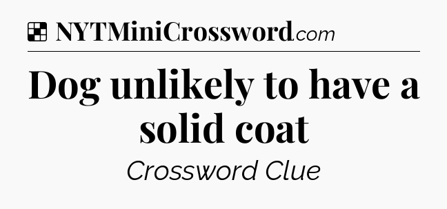 Solution: Dog unlikely to have a solid coat - NYT Crossword