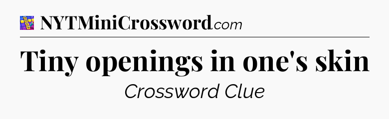 Tiny openings in one's skin Codycross