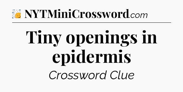 Tiny openings in epidermis - 7 Little Words