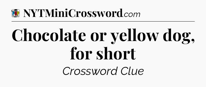 Chocolate or yellow dog, for short Crossword Clue