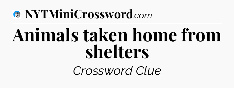 Animals taken home from shelters Crossword Clue