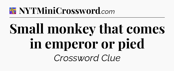 Small monkey that comes in emperor or pied Codycross