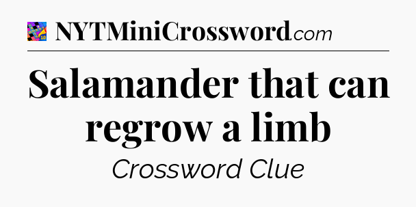Salamander that can regrow a limb Crossword Clue