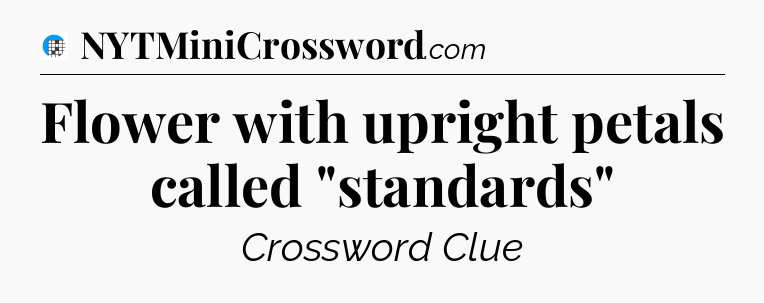 Flower with upright petals called 