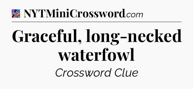 Graceful, long-necked waterfowl Crossword Clue