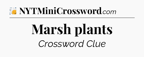 Marsh plants - 7 Little Words