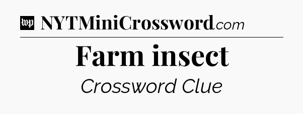 Farm insect Crossword Clue