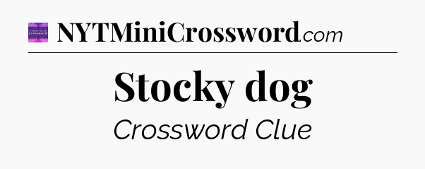 Stocky dog - Thomas Joseph Crossword
