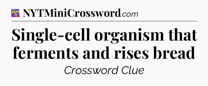 Single-cell organism that ferments and rises bread Codycross