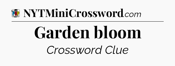 Garden bloom Crossword Clue