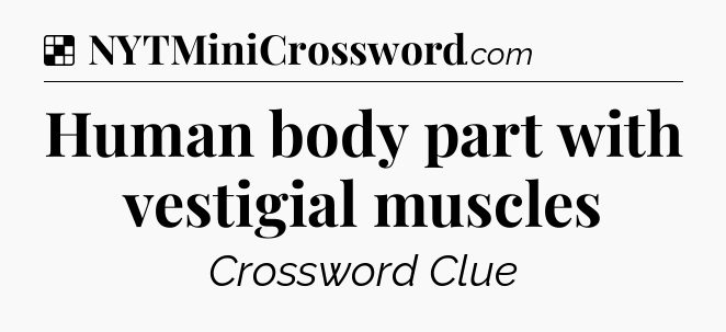 Solution: Human body part with vestigial muscles - NYT Crossword