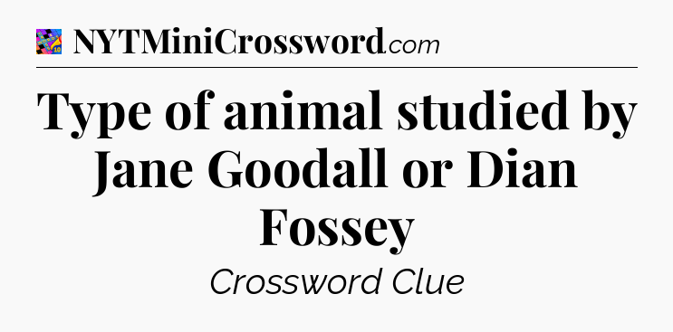 Type of animal studied by Jane Goodall or Dian Fossey Crossword Clue