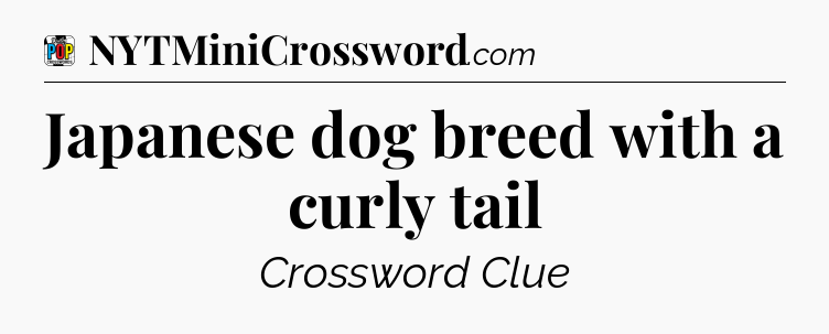 Japanese dog breed with a curly tail Crossword Clue