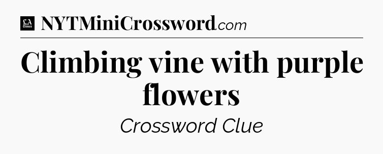 Climbing vine with purple flowers - LA Times Crossword