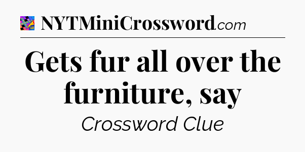 Gets fur all over the furniture, say Crossword Clue
