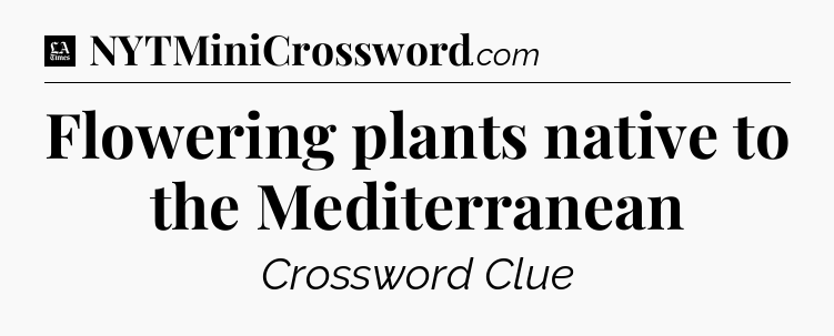 Flowering plants native to the Mediterranean - LA Times Crossword