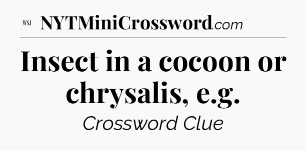 Insect in a cocoon or chrysalis, e.g - WSJ Crossword