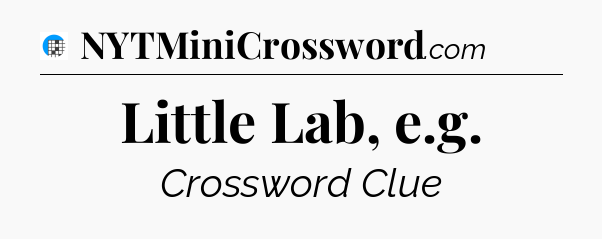 Little Lab, e.g Crossword Clue