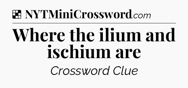 Solution: Where the ilium and ischium are - NYT Crossword