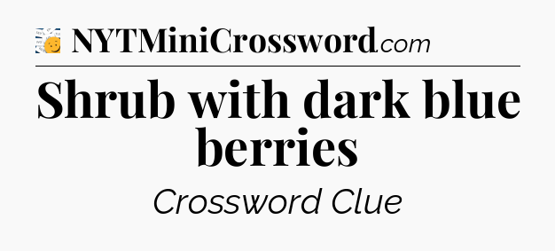 Shrub with dark blue berries - 7 Little Words