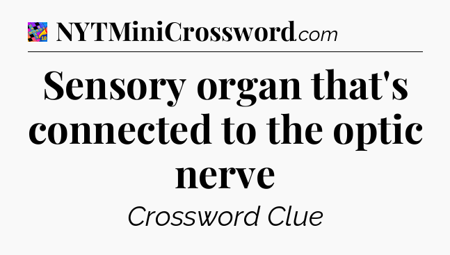 Sensory organ that's connected to the optic nerve Crossword Clue