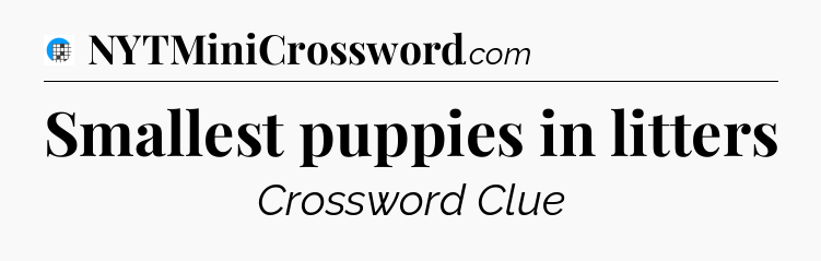 Smallest puppies in litters Crossword Clue