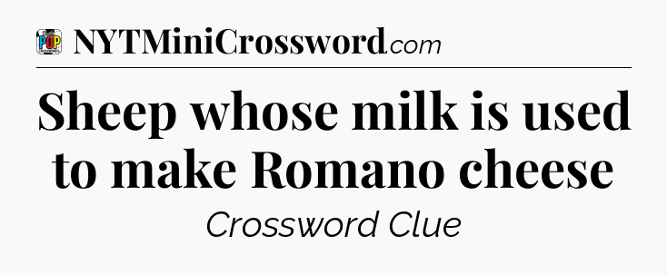 Sheep whose milk is used to make Romano cheese Crossword Clue