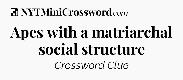 Solution: Apes with a matriarchal social structure - NYT Crossword