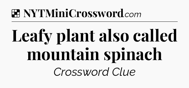 Solution: Leafy plant also called mountain spinach - NYT Crossword