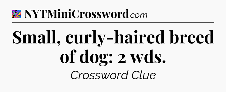 Small, curly-haired breed of dog: 2 wds Crossword Clue
