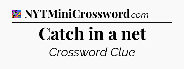 Catch in a net Crossword Clue